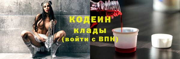 дживик Богородицк