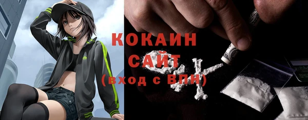 дживик Богородицк
