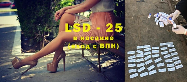 дживик Богородицк