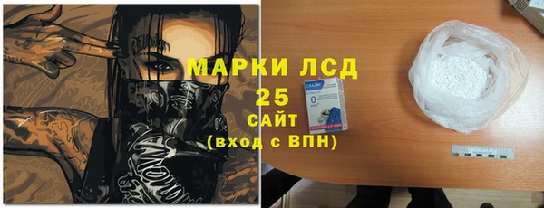 дживик Богородицк